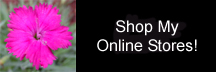 Buy from your favorite merchants here!
