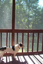 Enjoying the Porch